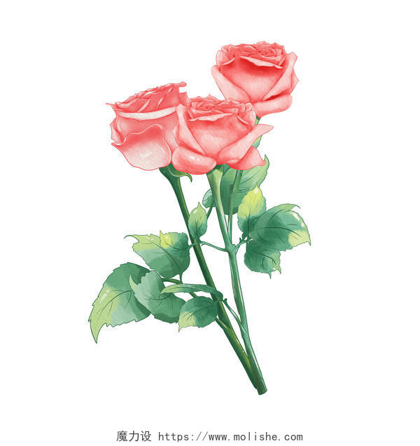 水彩玫瑰花朵爱情鲜花元素520